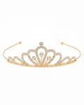 Princess Tiara